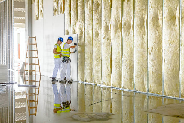 Best Attic Insulation Near Me  in Brenham, TX